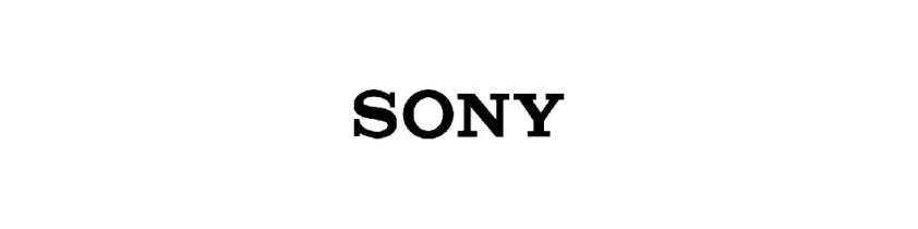 Batterie Externe Ordinateur Sony