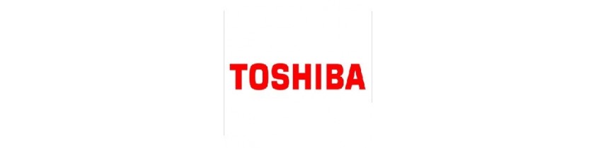 Batterie Externe Ordinateur Toshiba